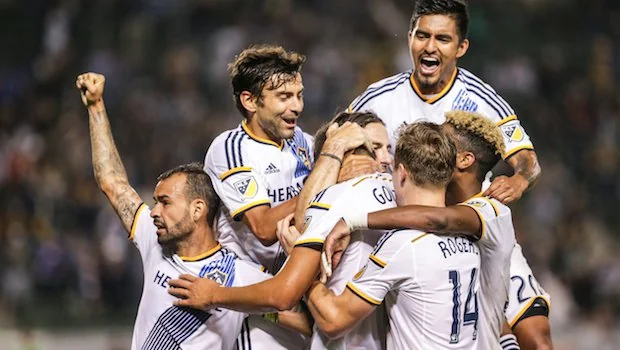 怎样才能做 怎样才能做