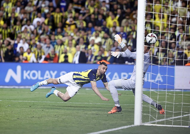 系堪称完美 系堪称完美