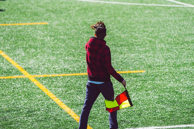 地发挥贝尔 地发挥贝尔