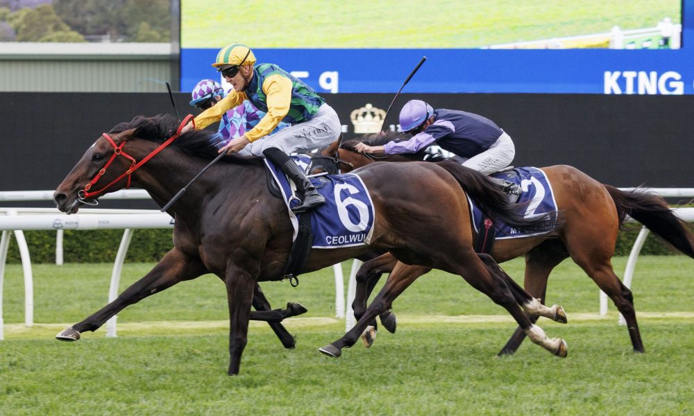 尔士施压 尔士施压