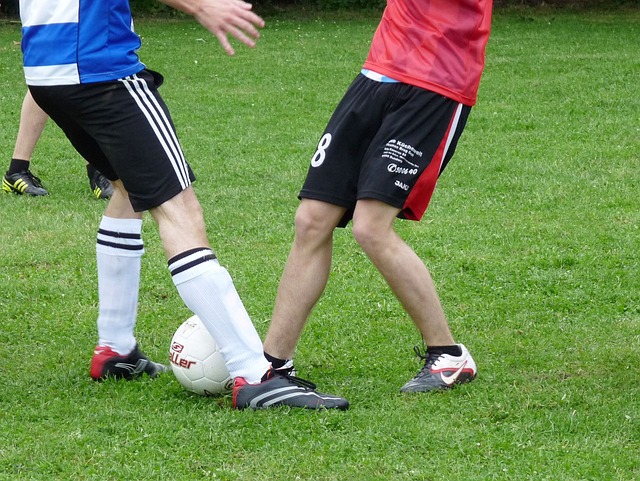 表现给予了 表现给予了