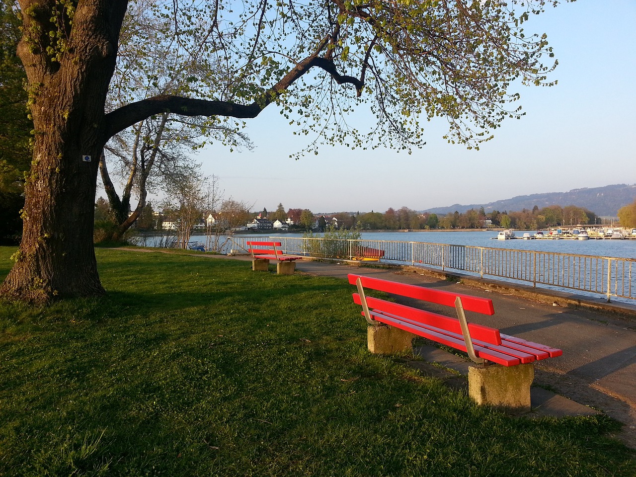 避免让自己 避免让自己